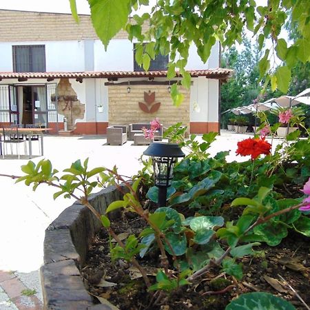 Casale Rurale Bed & Breakfast San Marco Evangelista Luaran gambar