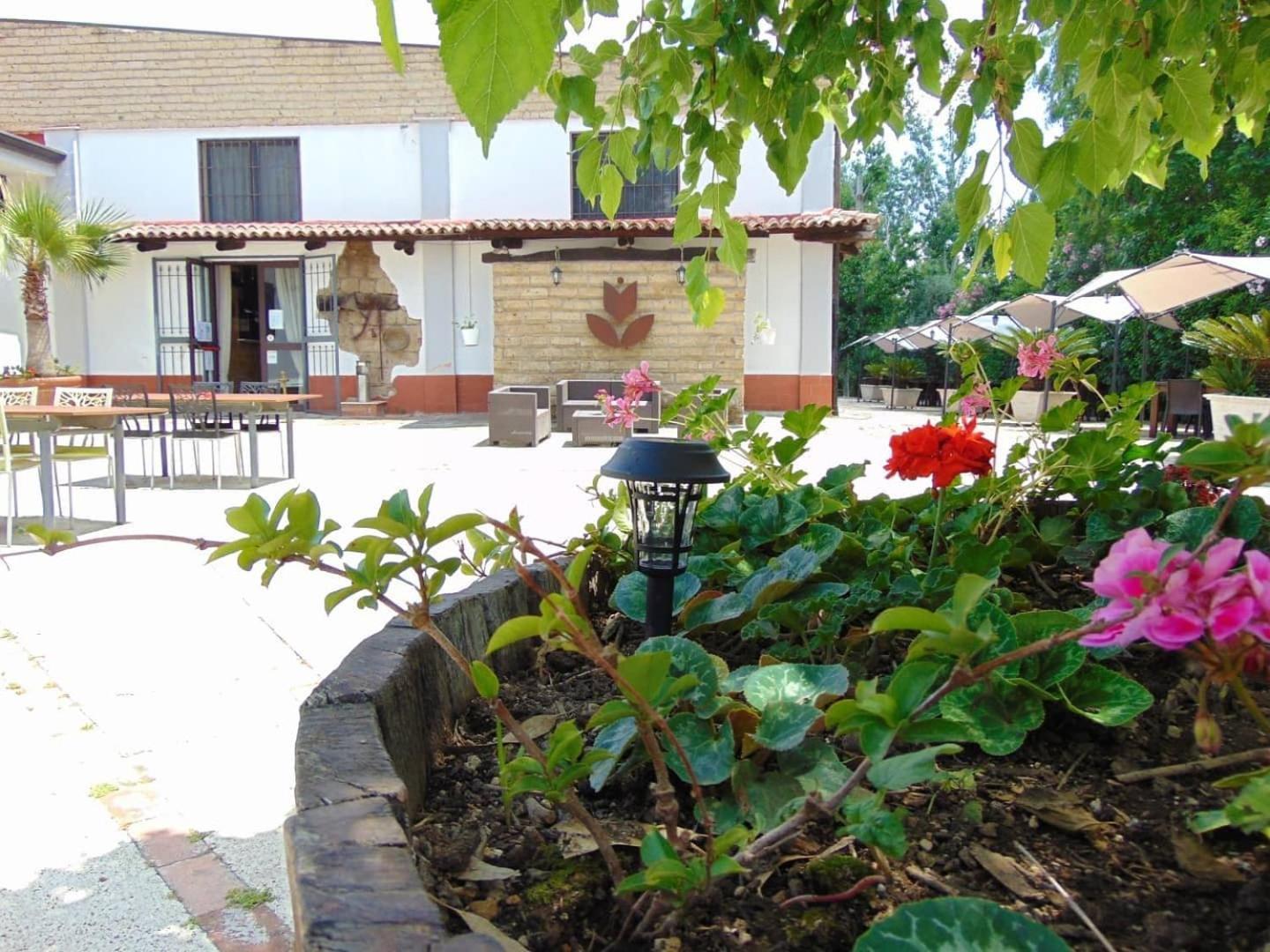 Casale Rurale Bed & Breakfast San Marco Evangelista Luaran gambar