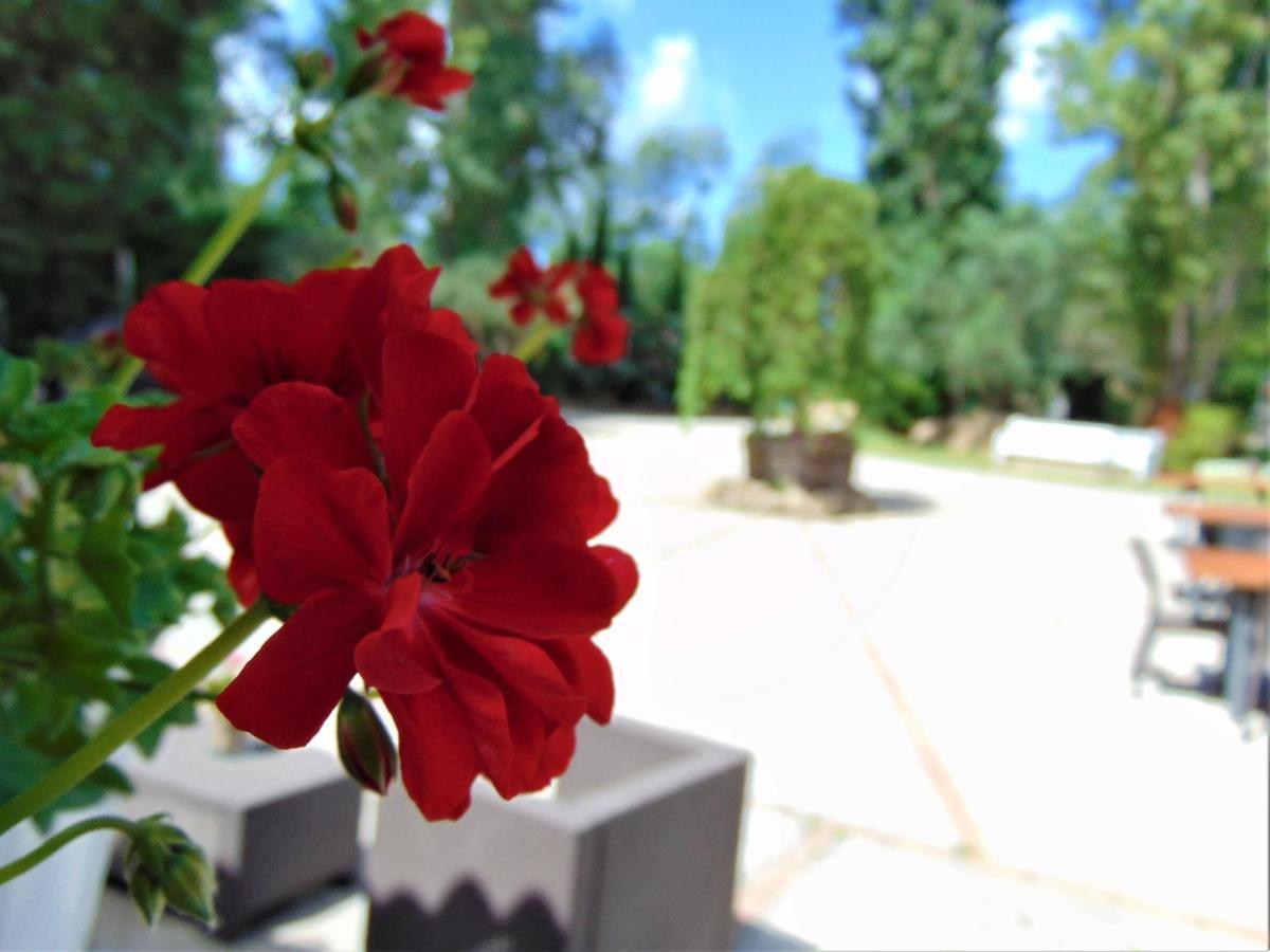 Casale Rurale Bed & Breakfast San Marco Evangelista Luaran gambar