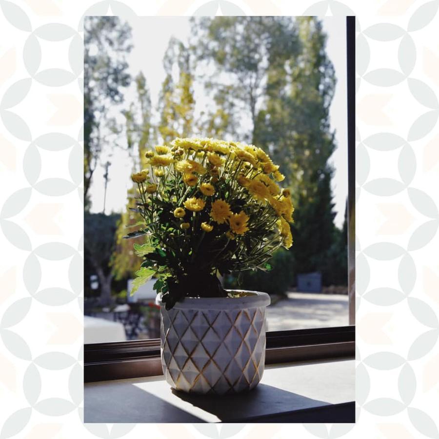 Casale Rurale Bed & Breakfast San Marco Evangelista Luaran gambar