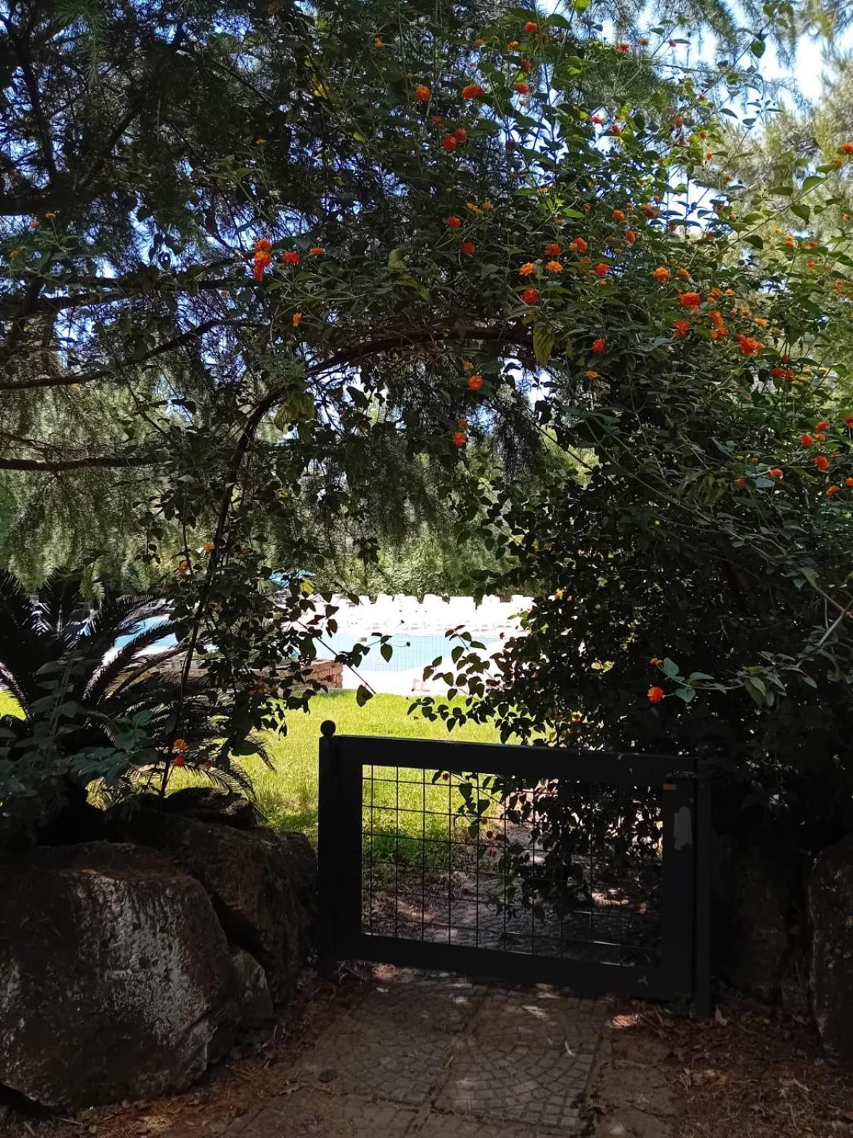 Casale Rurale Bed & Breakfast San Marco Evangelista Luaran gambar